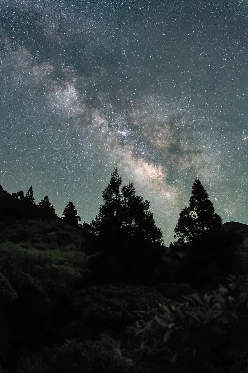 Milky Way Galaxy in Nature